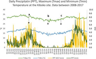 The potential of conservation agriculture to improve nitrogen fixation in cowpea under the semi-arid conditions of Kenya